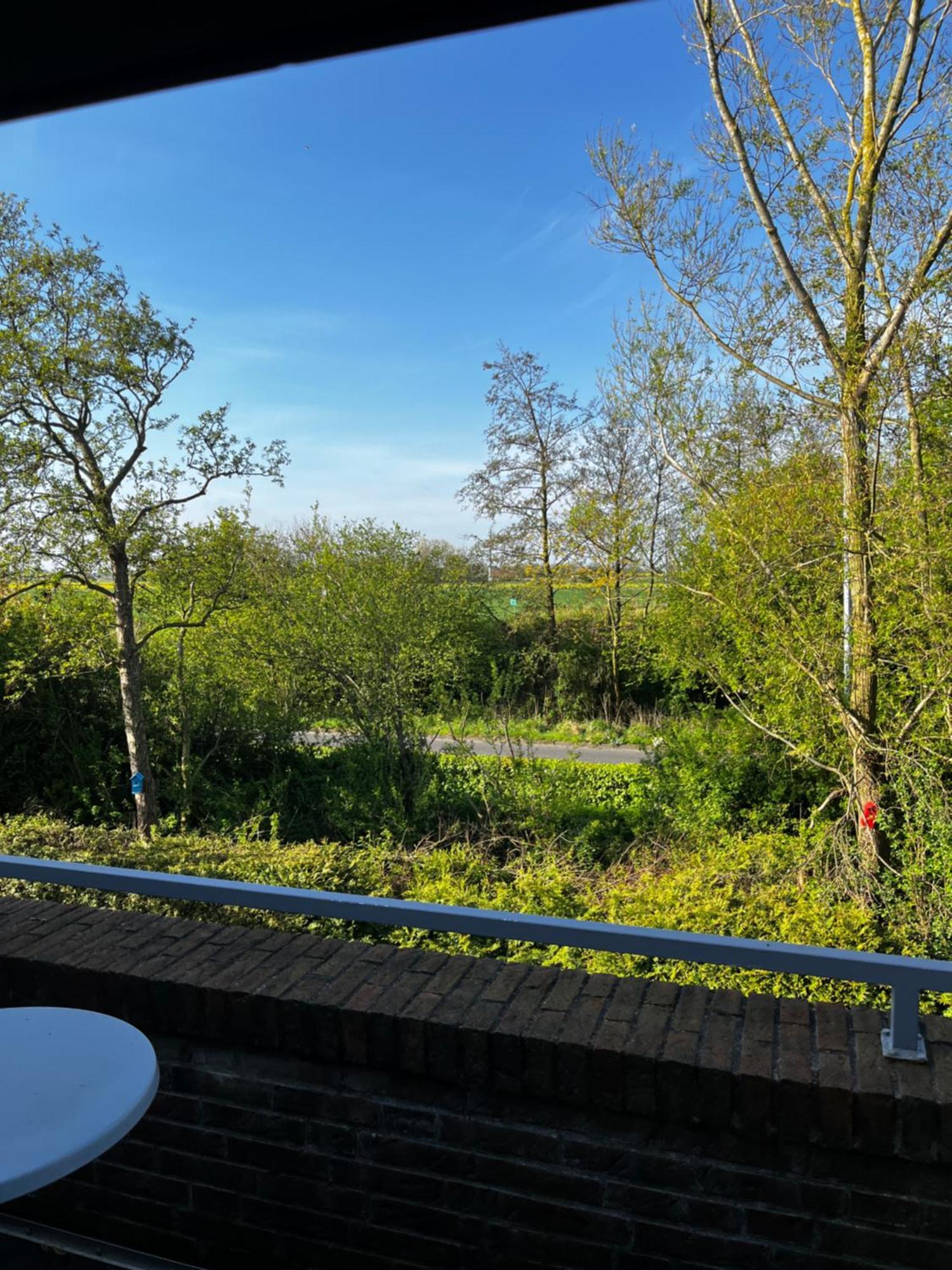 Apartment Bakenweg Fuer Maximal 4 Personen Norden Buitenkant foto